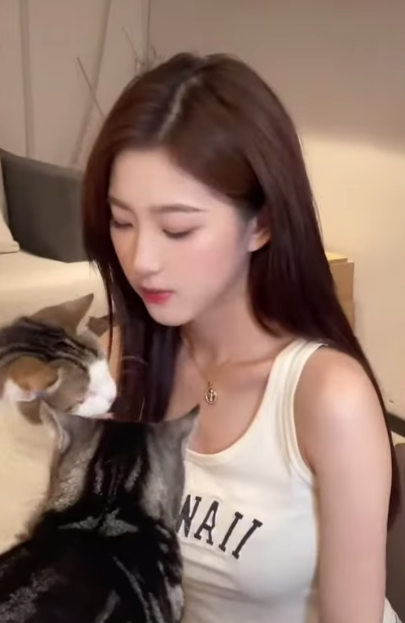 lĩnh vực hoạt động